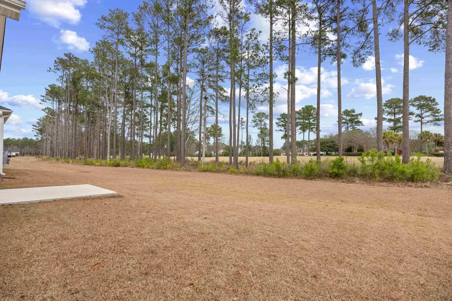 Golf-course view behind the home